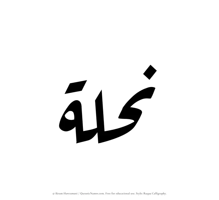 The Muslim name Nihlah written in Ruqaa calligraphic script