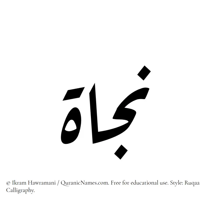 The Muslim name Nijat written in Ruqaa calligraphic script