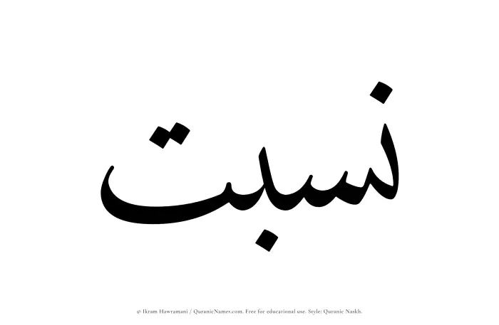 The Muslim name Nisbat written in Quranic naskh script