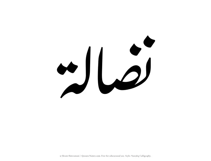 The Muslim name word Nizalah written in Nastaliq calligraphic script