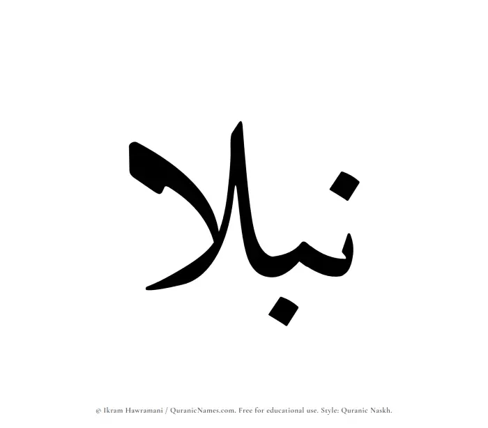 The Muslim name Nubla written in Quranic naskh script