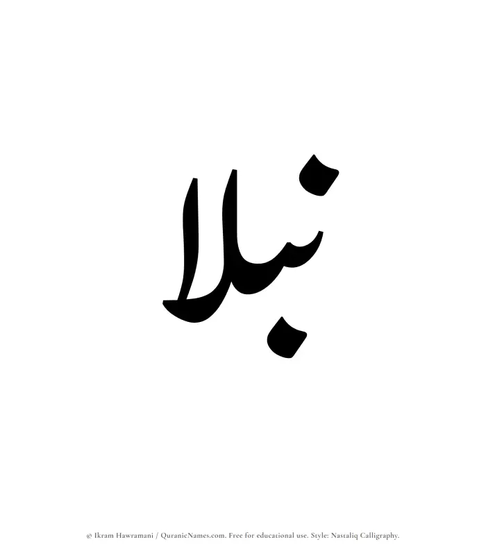 The Muslim name word Nubla written in Nastaliq calligraphic script
