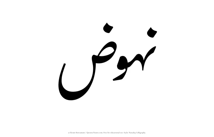 The Muslim name word Nuhuz written in Nastaliq calligraphic script