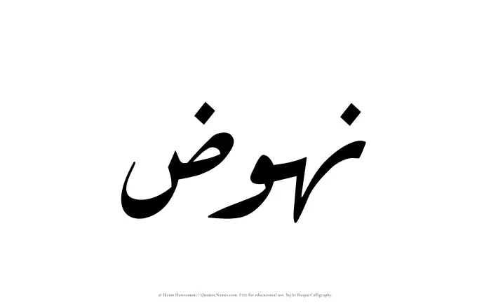 The Muslim name Nuhuz written in Ruqaa calligraphic script