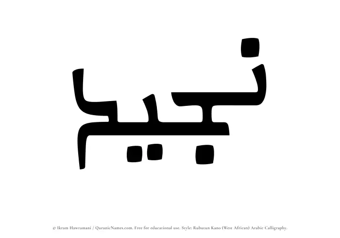 The Muslim name Nujaid written in Rubutun Kano calligraphic script