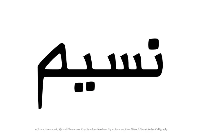 The Muslim name Nusaim written in Rubutun Kano calligraphic script