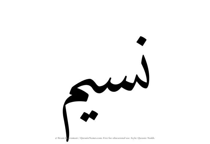 The Muslim name Nusaim written in Quranic naskh script