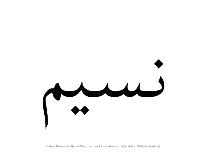 The Muslim name Nusaim written in naskh script