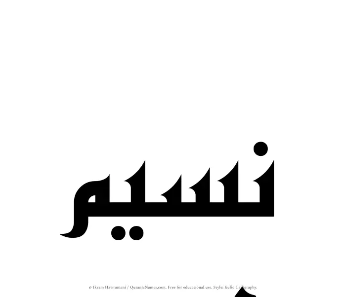 The Muslim name Nusaim written in Kufi/Kufic calligraphic script