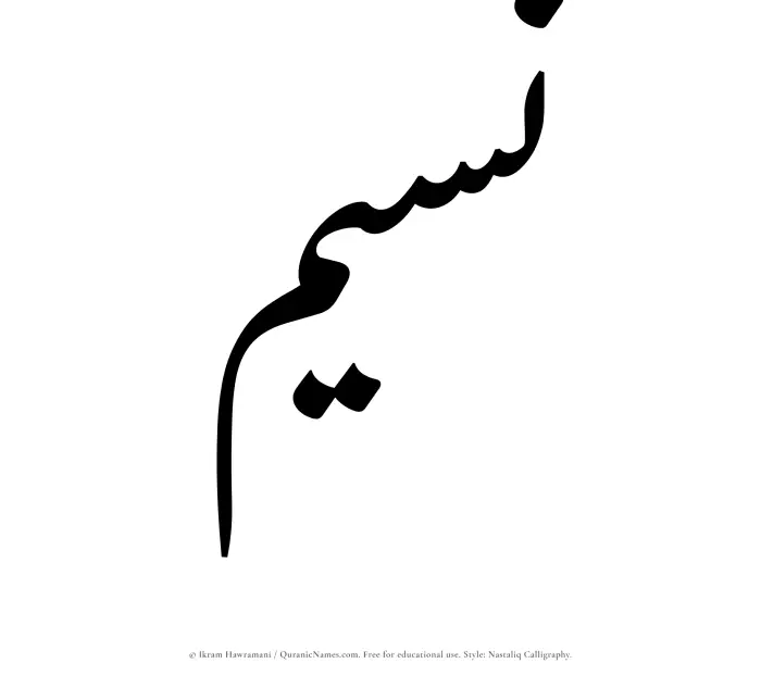 The Muslim name word Nusaim written in Nastaliq calligraphic script
