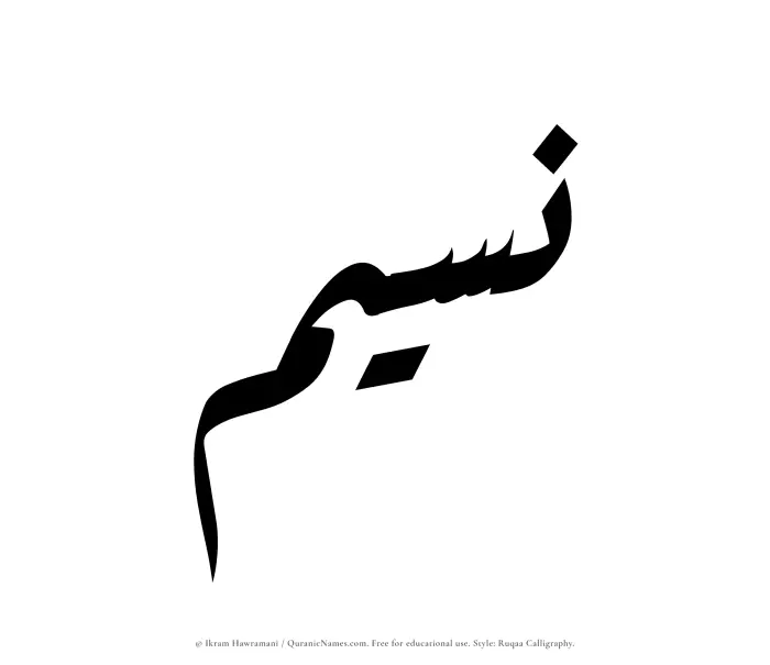 The Muslim name Nusaim written in Ruqaa calligraphic script