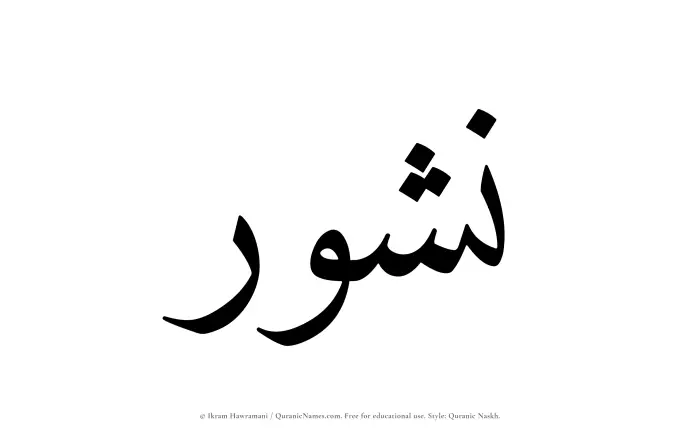 The Muslim name Nushur written in Quranic naskh script