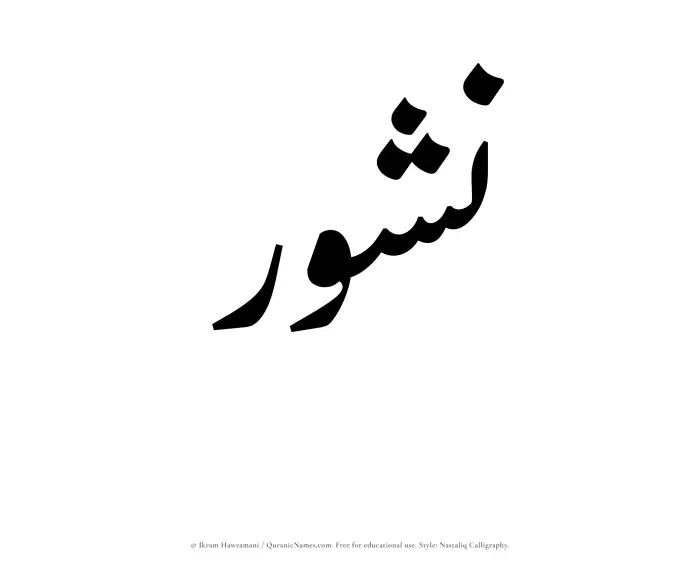 The Muslim name word Nushur written in Nastaliq calligraphic script