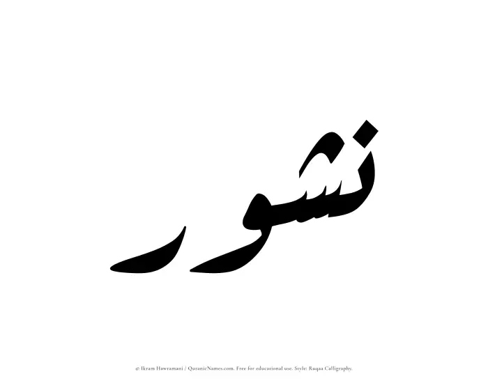 The Muslim name Nushur written in Ruqaa calligraphic script