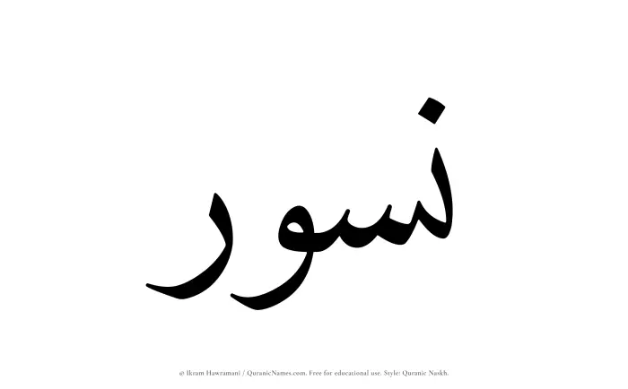 The Muslim name Nusur written in Quranic naskh script