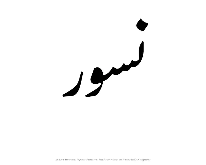 The Muslim name word Nusur written in Nastaliq calligraphic script