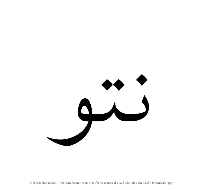 The Muslim name Nutou written in naskh script