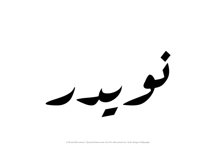 The Muslim name Nuwaidir written in Ruqaa calligraphic script