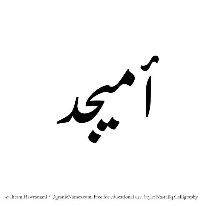 The Muslim name word Omaijid written in Nastaliq calligraphic script