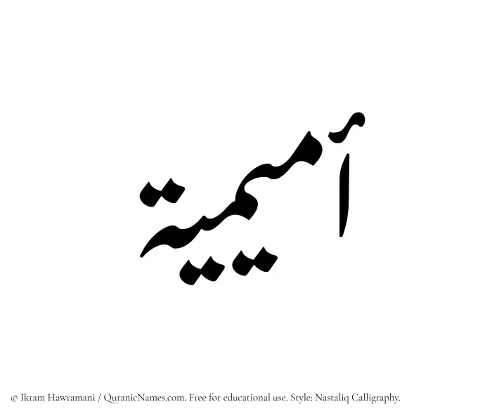 The Muslim name word Omaimiya written in Nastaliq calligraphic script