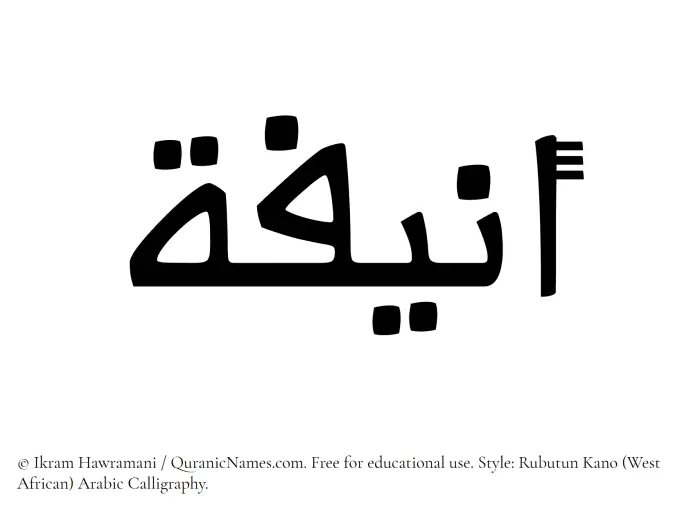 The Muslim name Onaifa written in Rubutun Kano calligraphic script