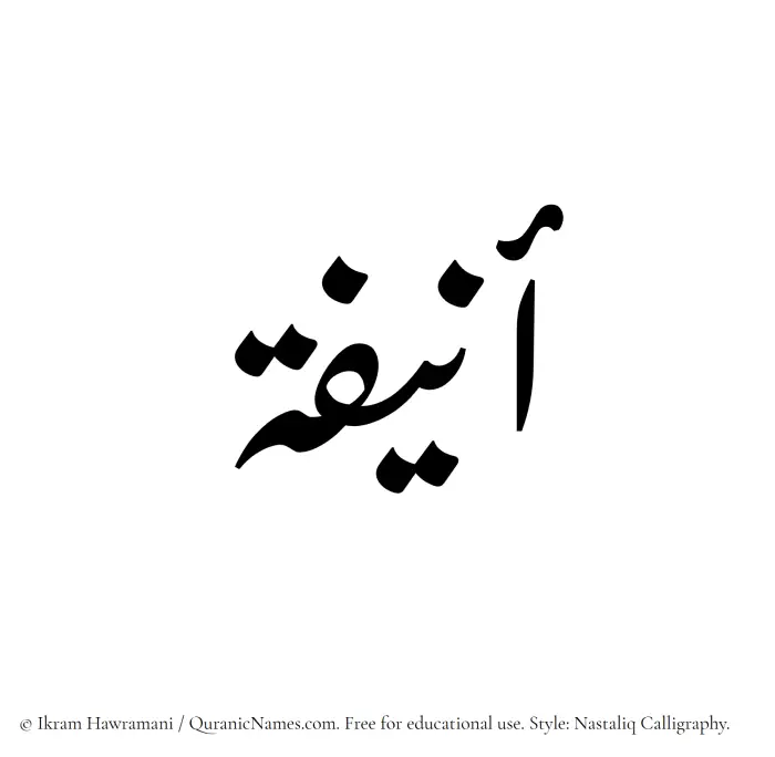 The Muslim name word Onaifa written in Nastaliq calligraphic script