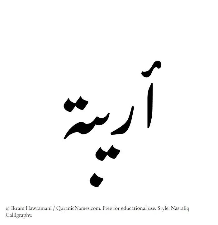 The Muslim name word Oraiba written in Nastaliq calligraphic script