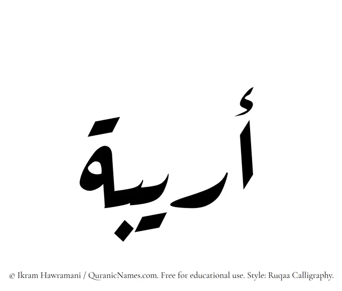 The Muslim name Oraiba written in Ruqaa calligraphic script