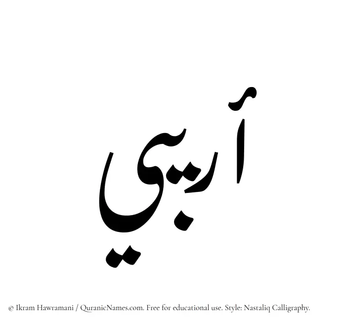 The Muslim name word Oraibi written in Nastaliq calligraphic script