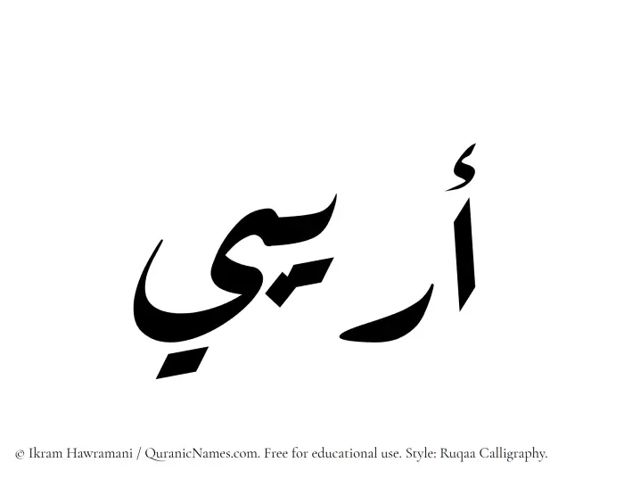 The Muslim name Oraibi written in Ruqaa calligraphic script