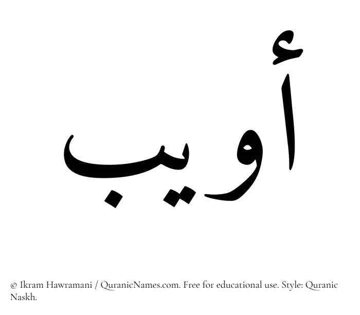 The Muslim name Owaib written in Quranic naskh script