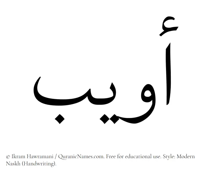 The Muslim name Owaib written in naskh script