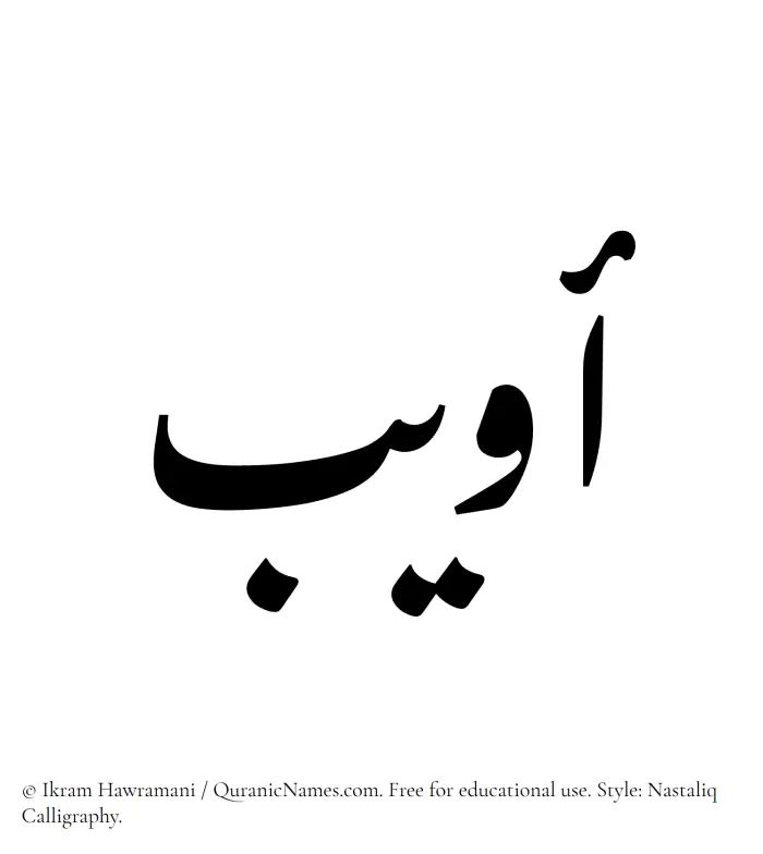 The Muslim name word Owaib written in Nastaliq calligraphic script