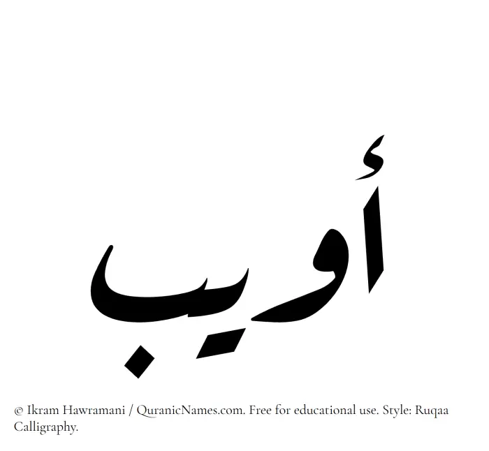 The Muslim name Owaib written in Ruqaa calligraphic script