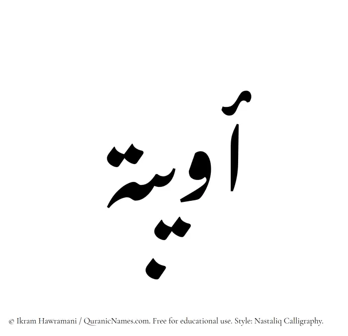 The Muslim name word Owaiba written in Nastaliq calligraphic script