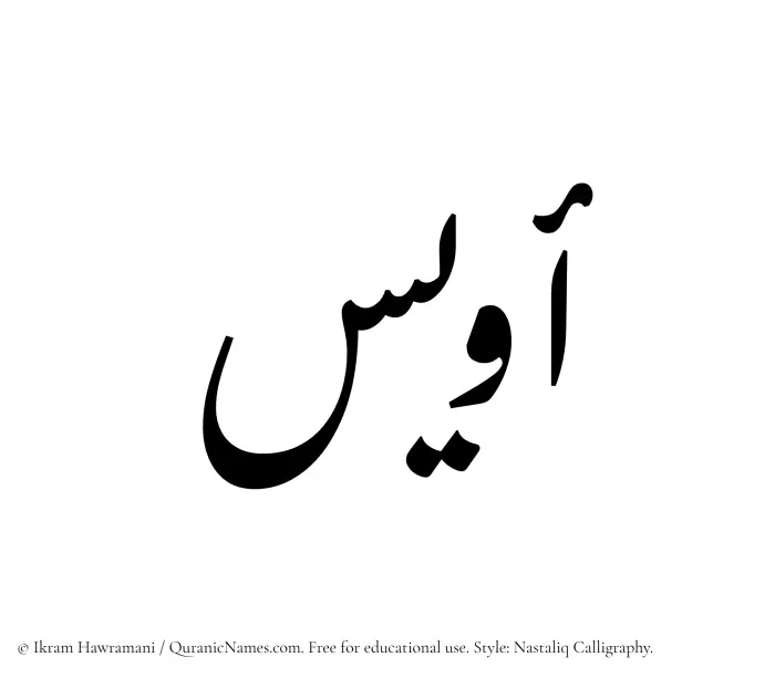 The Muslim name word Owais written in Nastaliq calligraphic script