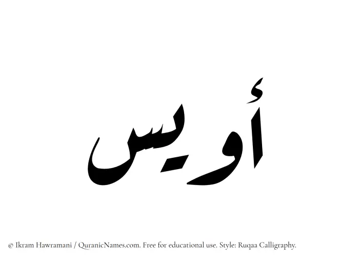 The Muslim name Owais written in Ruqaa calligraphic script