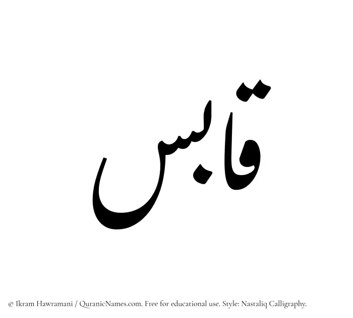 The Arabic word Qabis written in Nastaliq calligraphic script