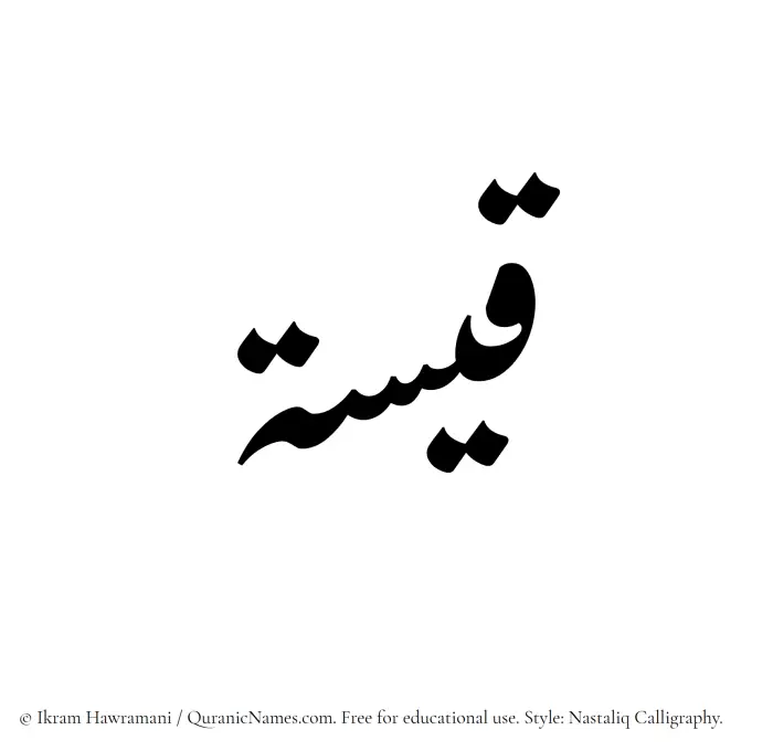 The Muslim name word Qaisah written in Nastaliq calligraphic script