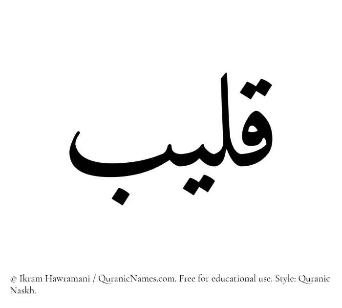The Muslim name Qaleeb written in Quranic naskh script