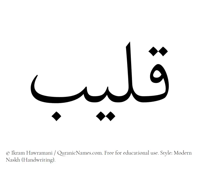 The Muslim name Qaleeb written in naskh script