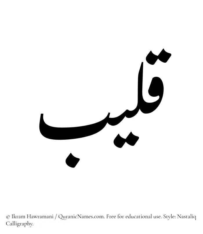 The Muslim name word Qaleeb written in Nastaliq calligraphic script