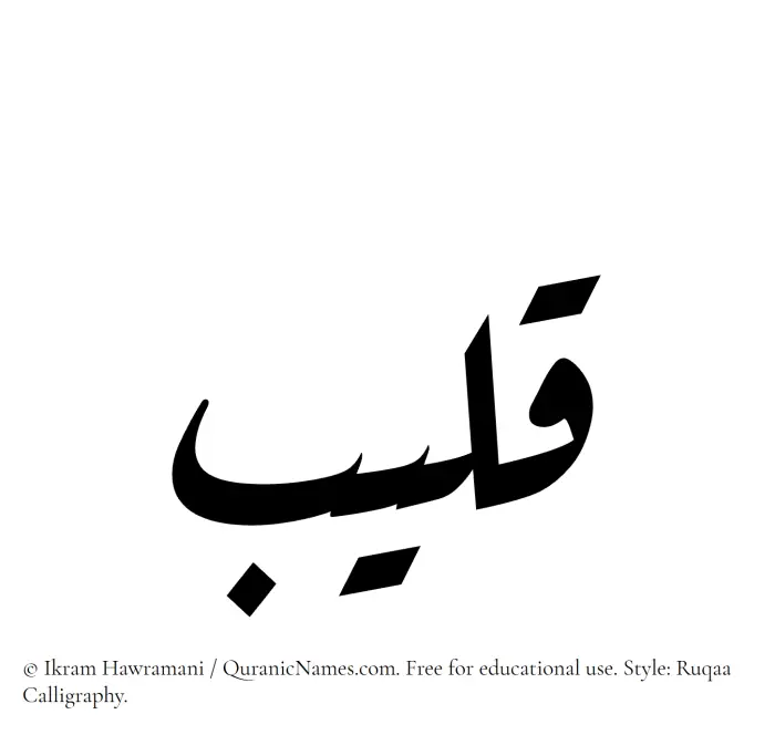 The Muslim name Qaleeb written in Ruqaa calligraphic script
