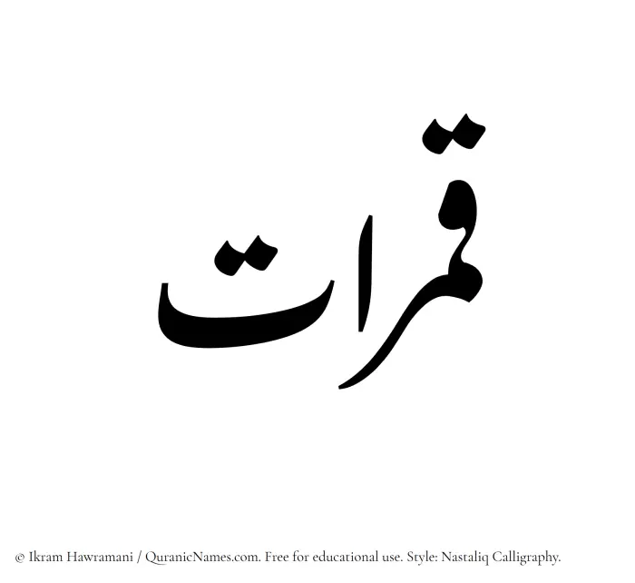 The Muslim name word Qamaraat written in Nastaliq calligraphic script