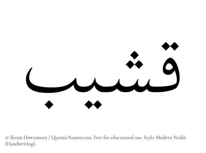 The Muslim name Qasheeb written in naskh script