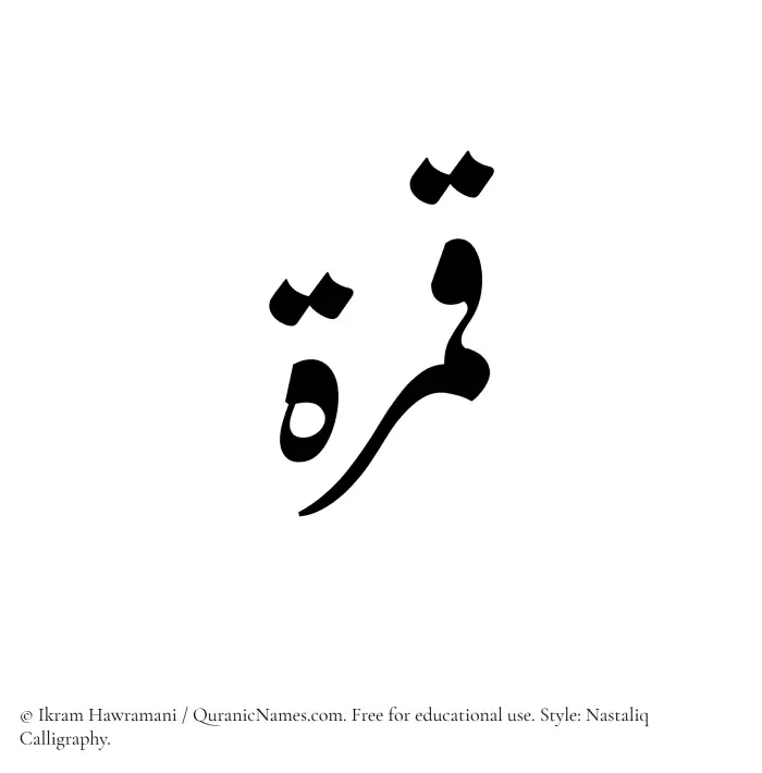 The Muslim name word Qumrah written in Nastaliq calligraphic script