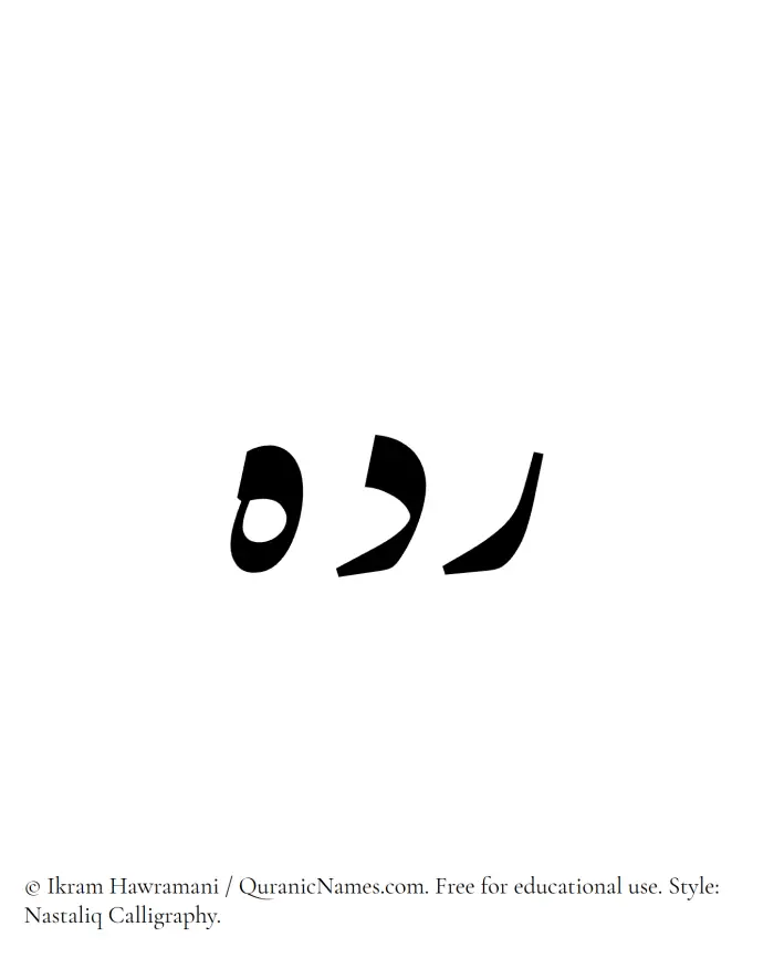 The Muslim name word Radih written in Nastaliq calligraphic script