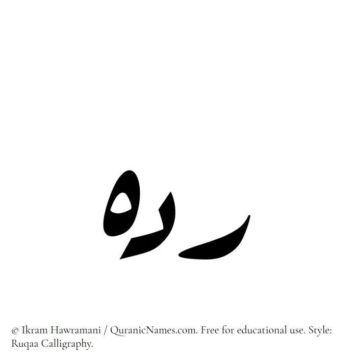 The Muslim name Radih written in Ruqaa calligraphic script
