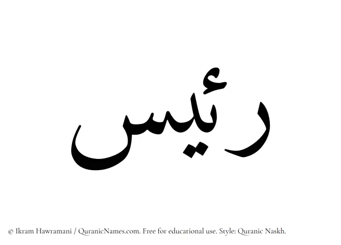 The Muslim name Raees written in Quranic naskh script