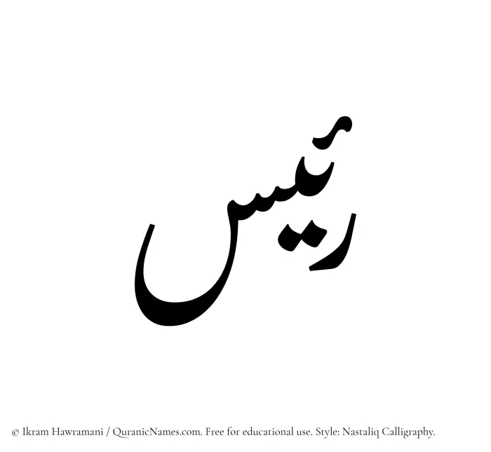 The Muslim name word Raees written in Nastaliq calligraphic script